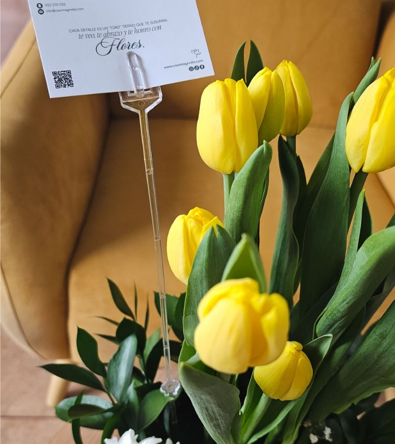 Diseño sin título (22)