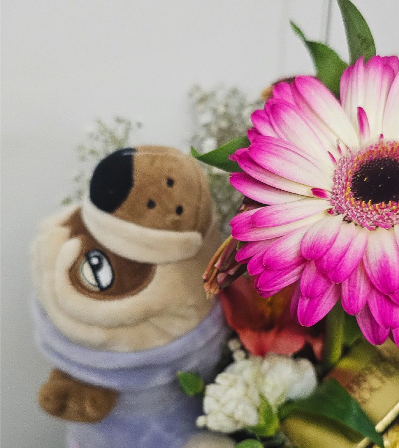 Diseño sin título (23)